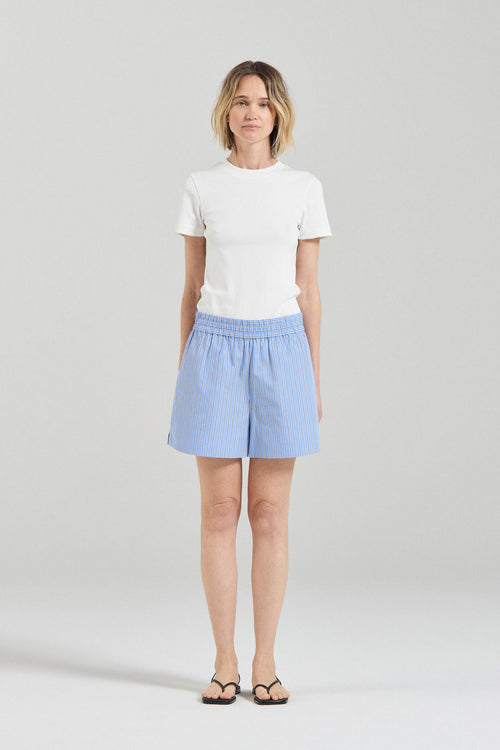 Blue Stripe