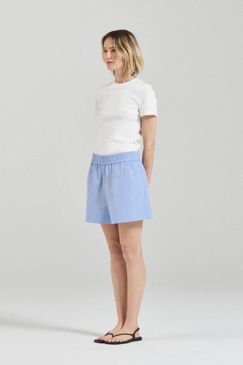 Blue Stripe