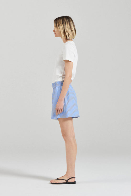 Blue Stripe