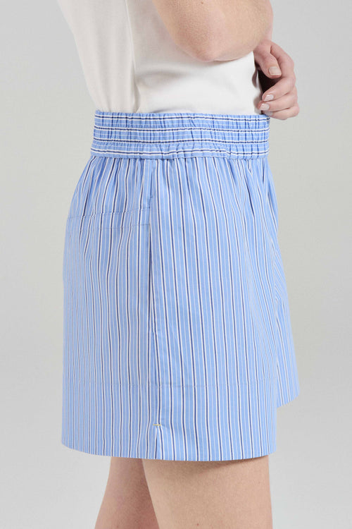 Blue Stripe